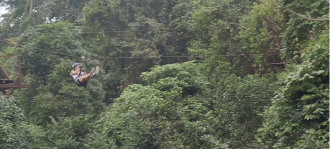 Adrenalin pur: Das Canopy Abenteuer auf Koh Samui beim Mein Schiff Landausflug