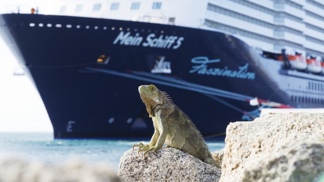 Eines der Motive des Mein Schiff Kalenders 2018