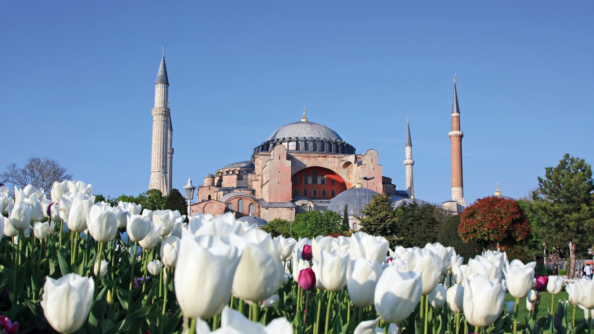 Istanbul Ein Traumhafen zum erkunden TUI Cruises
