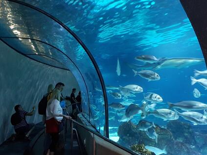 Barcelona und Aquarium TUI Cruises Mein Schiff
